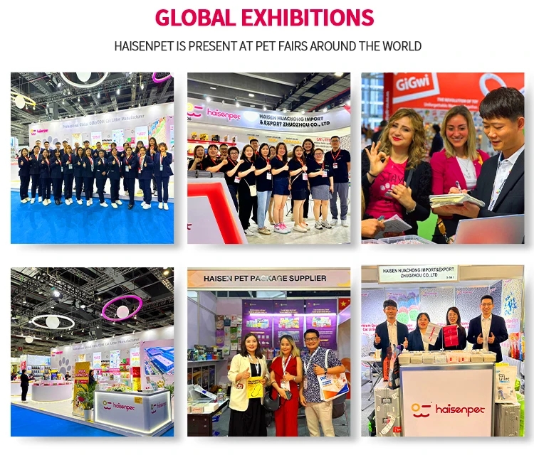 173f50f12db4ab3a372d9cb21fef8af0