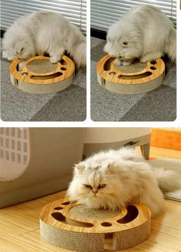 1c8fb4a209cd49ee2fcd7e19793f03fc