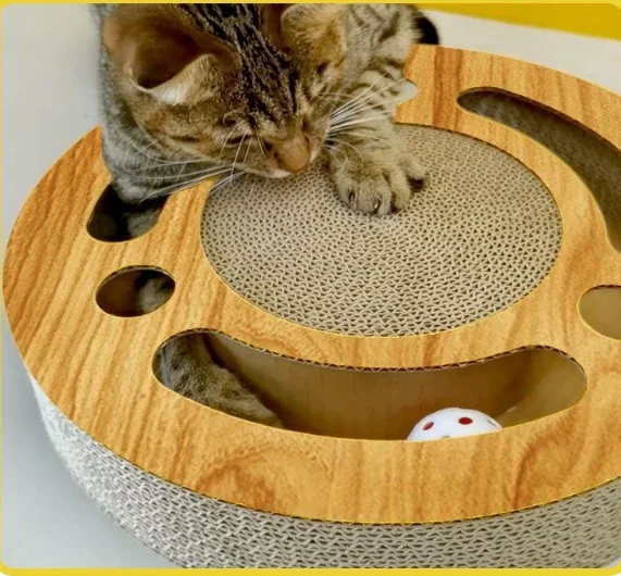 1c8fb4a209cd49ee2fcd7e19793f03fc