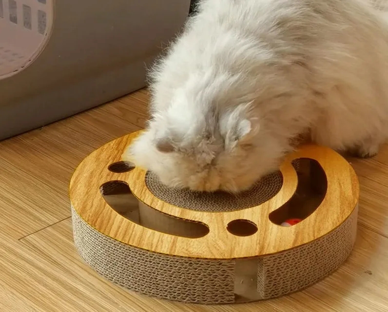 1c8fb4a209cd49ee2fcd7e19793f03fc