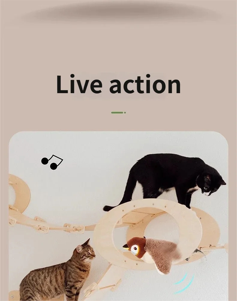 2639c424dba6cfc9a6e2d475073e793a