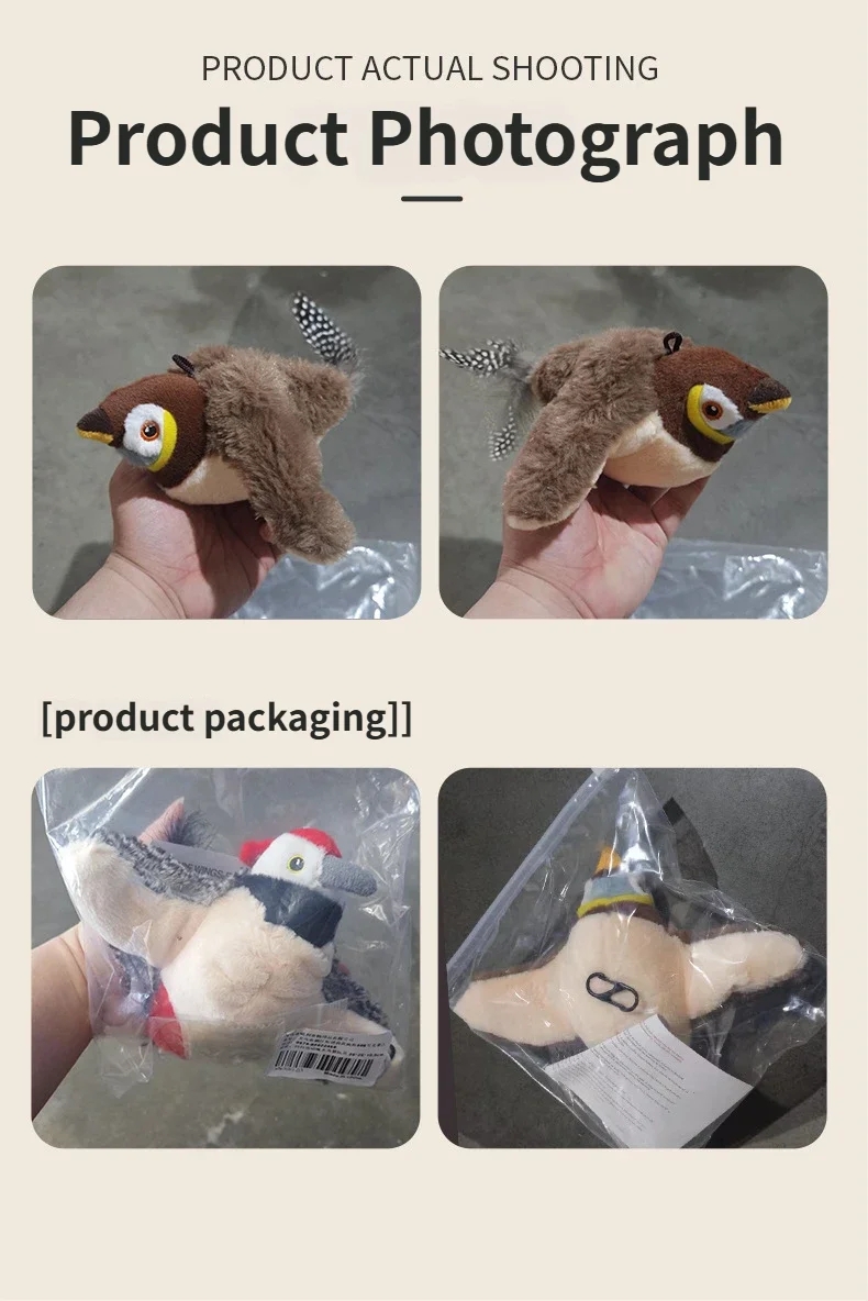 2639c424dba6cfc9a6e2d475073e793a