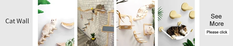 34385606619ddfcc6e3986bbe117a416