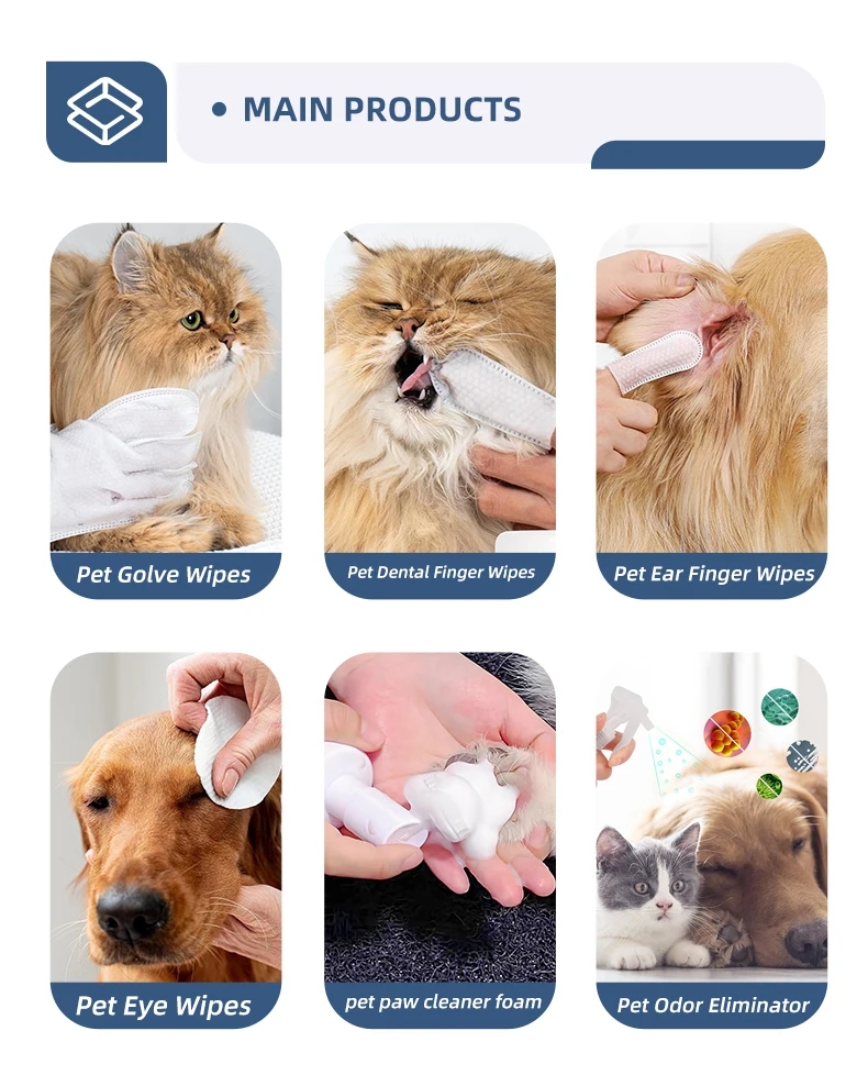 3ff9359066c295271ed7cf35a11ef75d