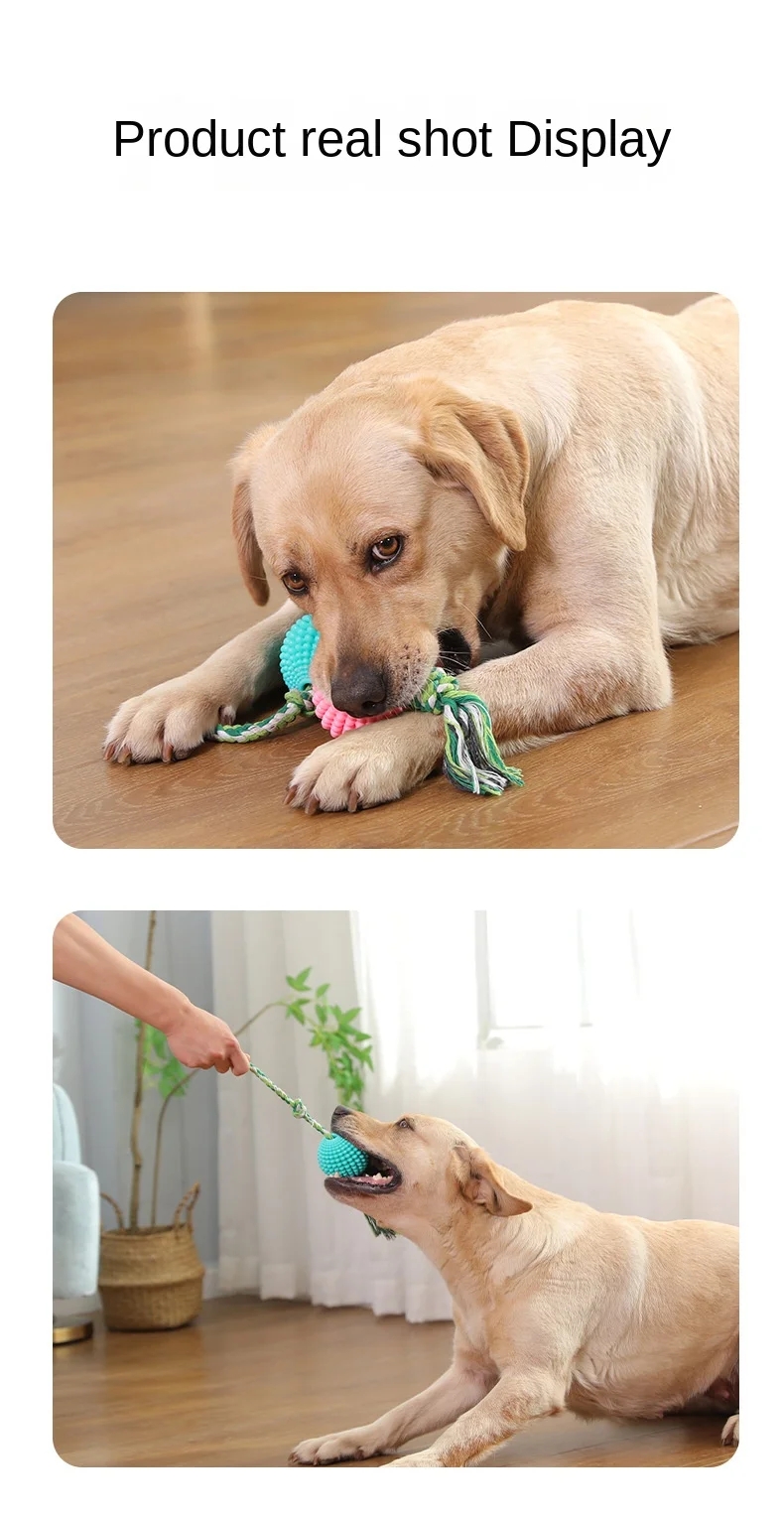 4813a7186ed6debfb933527f454c0ef8