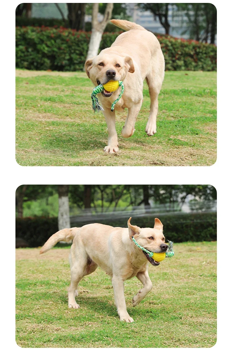 4813a7186ed6debfb933527f454c0ef8