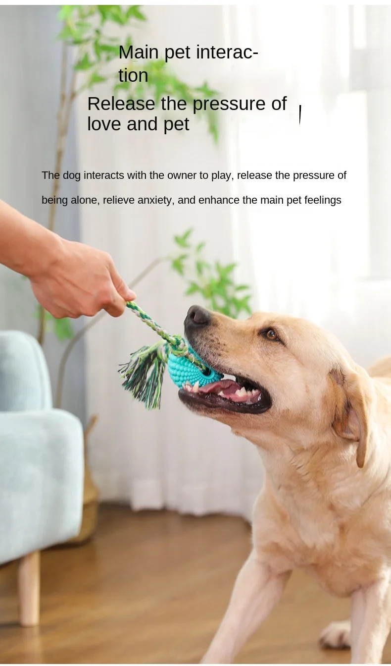 4813a7186ed6debfb933527f454c0ef8