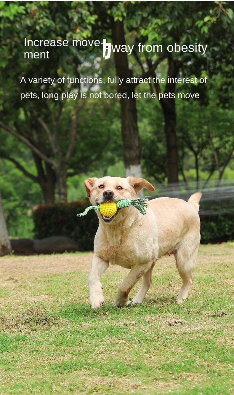 4813a7186ed6debfb933527f454c0ef8