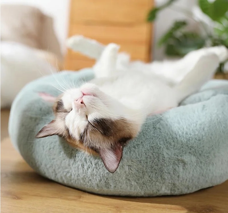 4ac25ccbcb78228fb77e070dea458df0