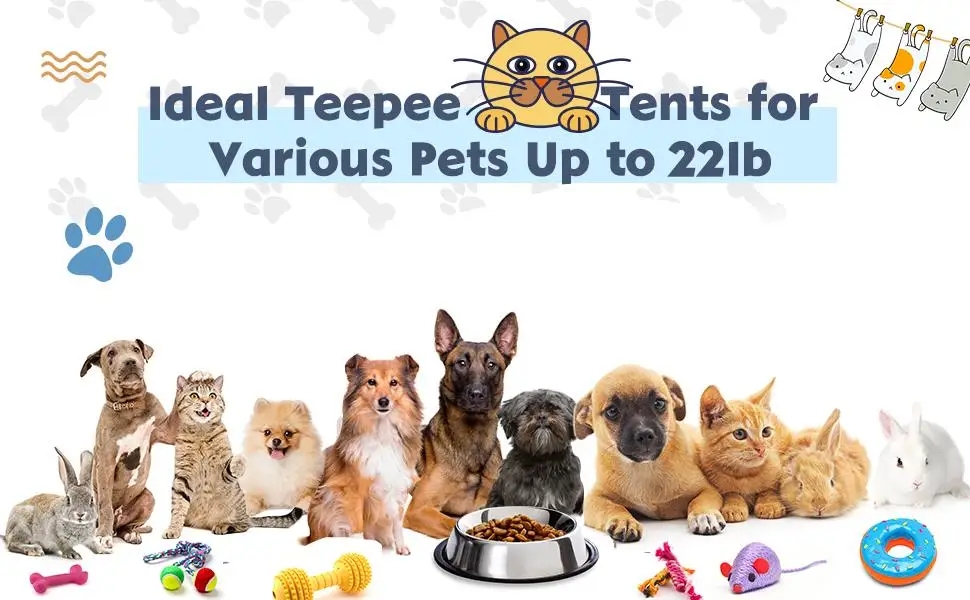 4ac25ccbcb78228fb77e070dea458df0