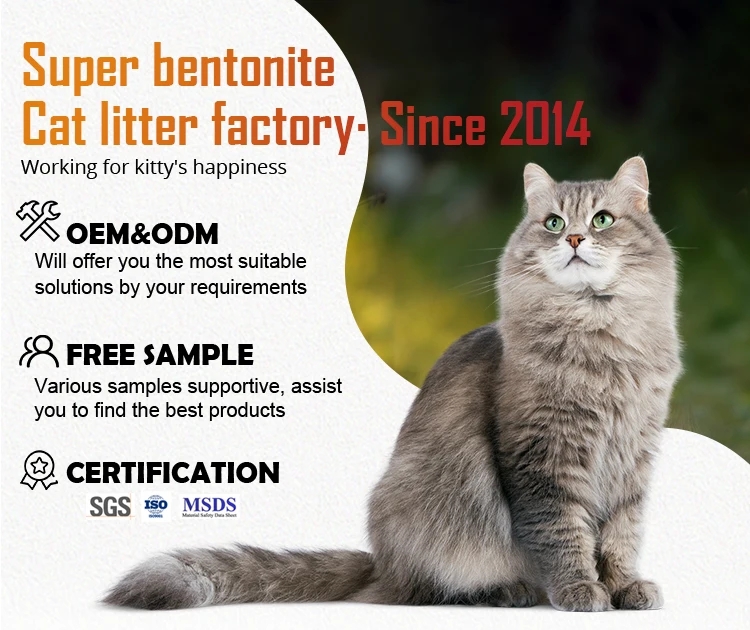 b762e5148339bd9f46d716aa8eb86e14