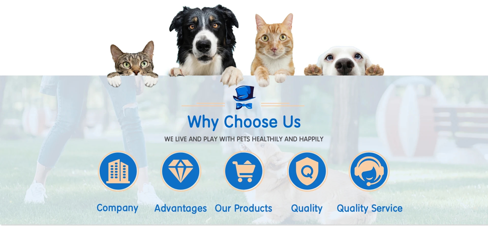 d2d2fa18a9bfdf492b3633fc93cda4f9