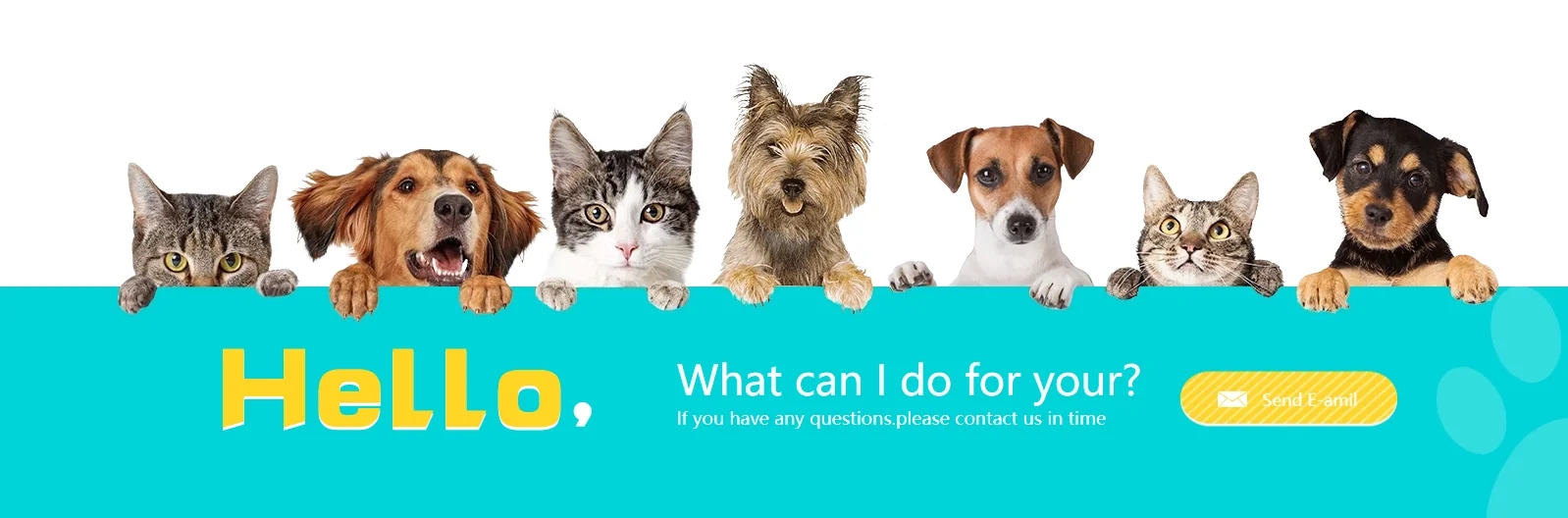 d43da611399b5327314252c0c1bf6e4c