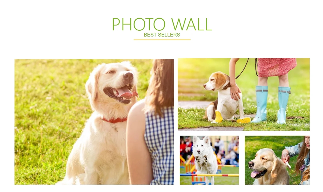 d43da611399b5327314252c0c1bf6e4c