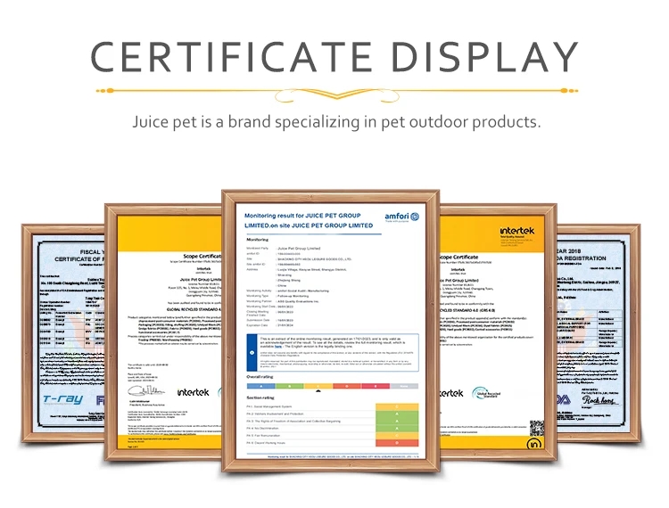 ecbae7067c3bd1b7b9fa25ea7ccc0eee