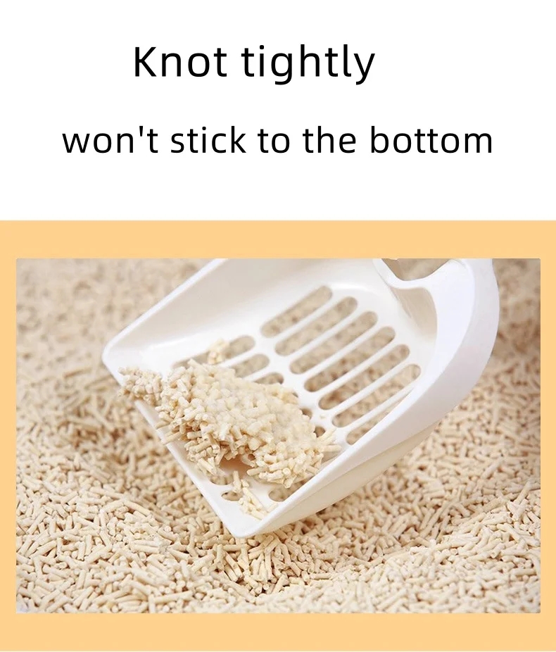 ecbae7067c3bd1b7b9fa25ea7ccc0eee